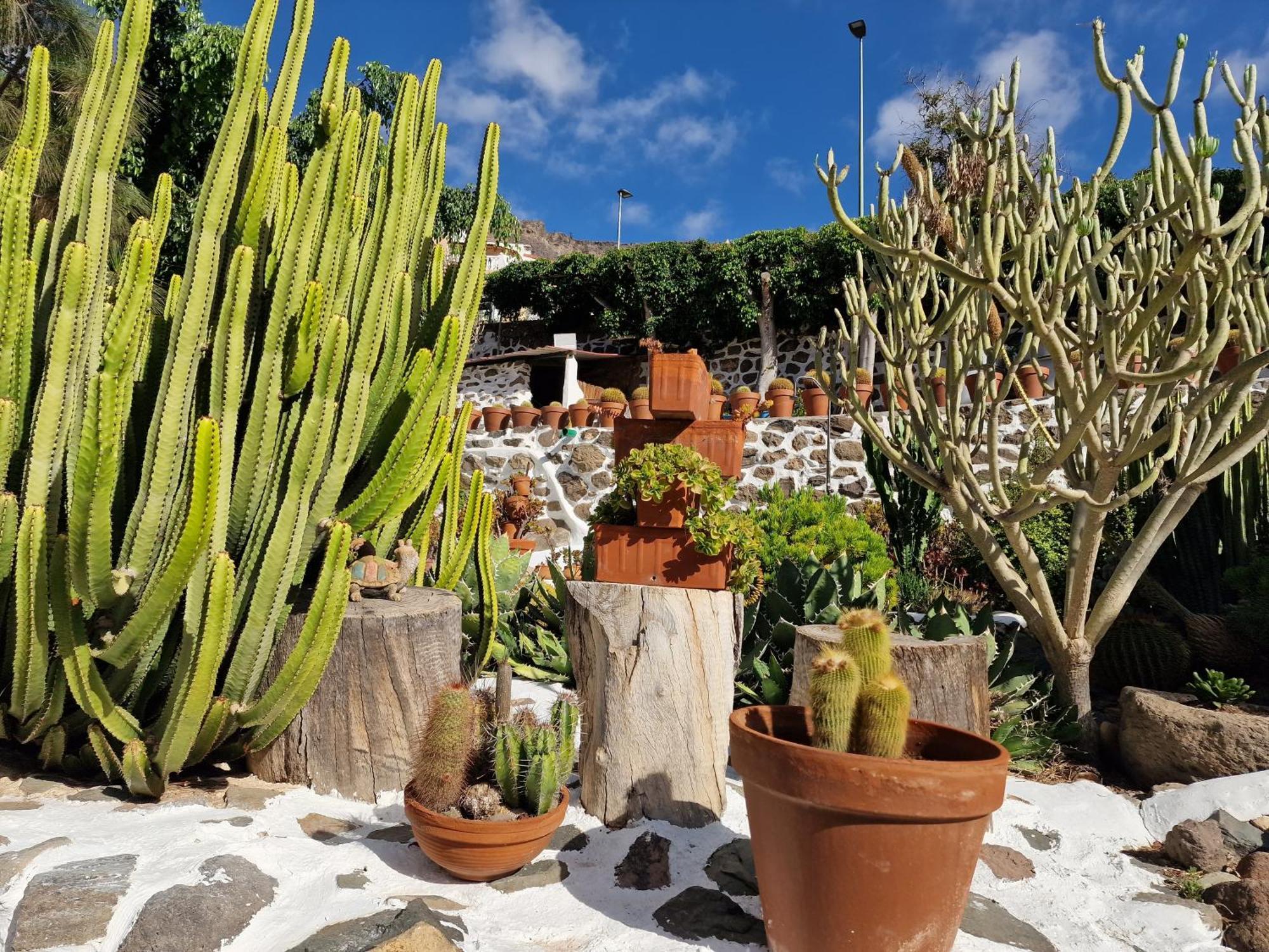 Historica Casa Con Vistas Al Jardin De Cactus Y Montanas Mogán Exterior foto