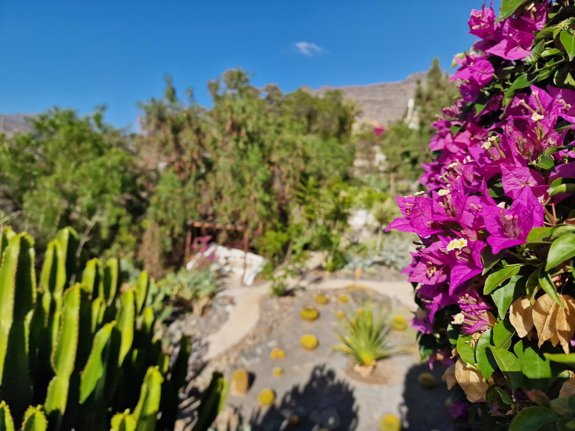 Historica Casa Con Vistas Al Jardin De Cactus Y Montanas Mogán Exterior foto